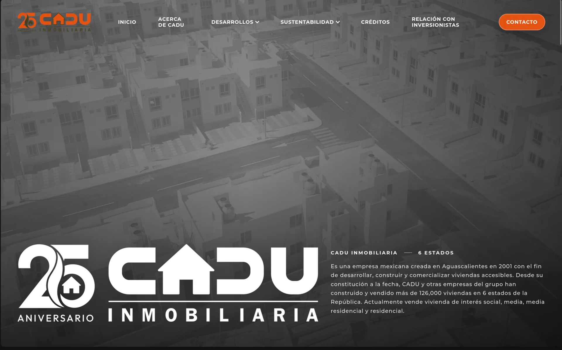 Cadu Inmobiliaria project preview