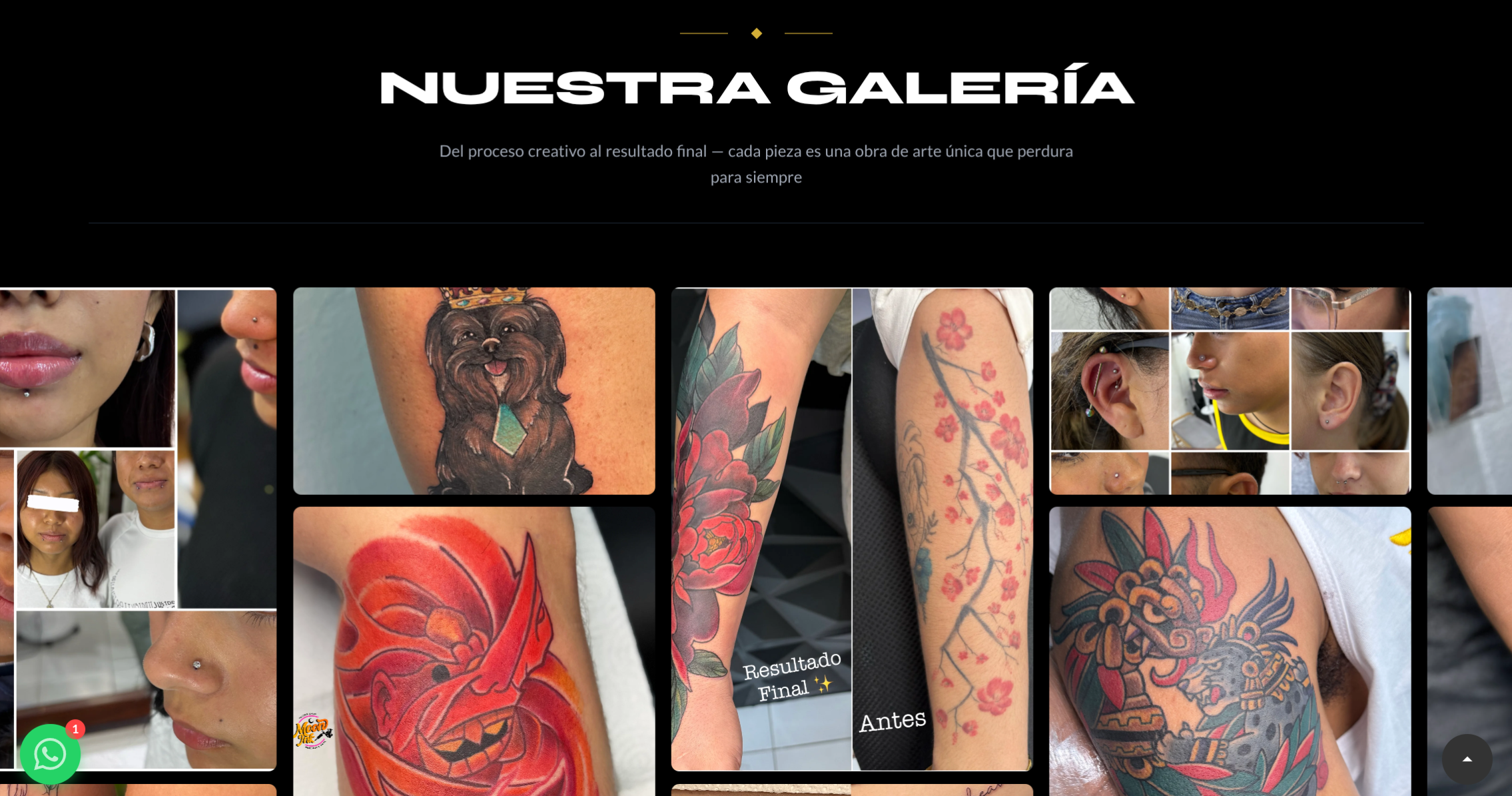 MoonInk Galería Destacada